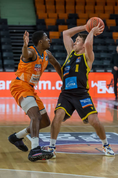 而张之臻的 而张之臻的