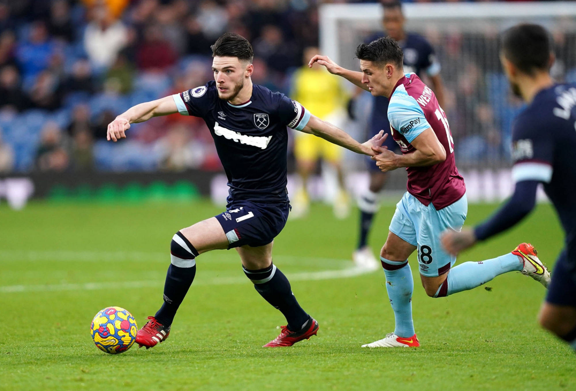 似乎成为鹈 似乎成为鹈